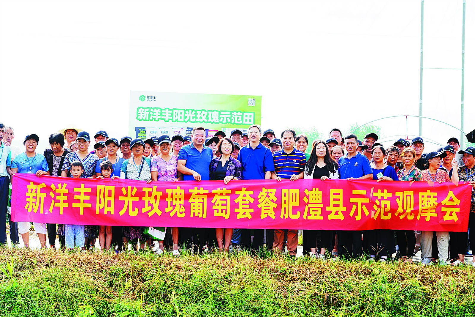太阳成集团tyc9728阳光葡萄套餐肥澧县示范观摩_meitu_2.jpg