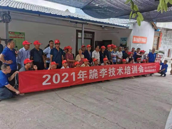 图片6两场种植技术培训观摩会现场.jpg