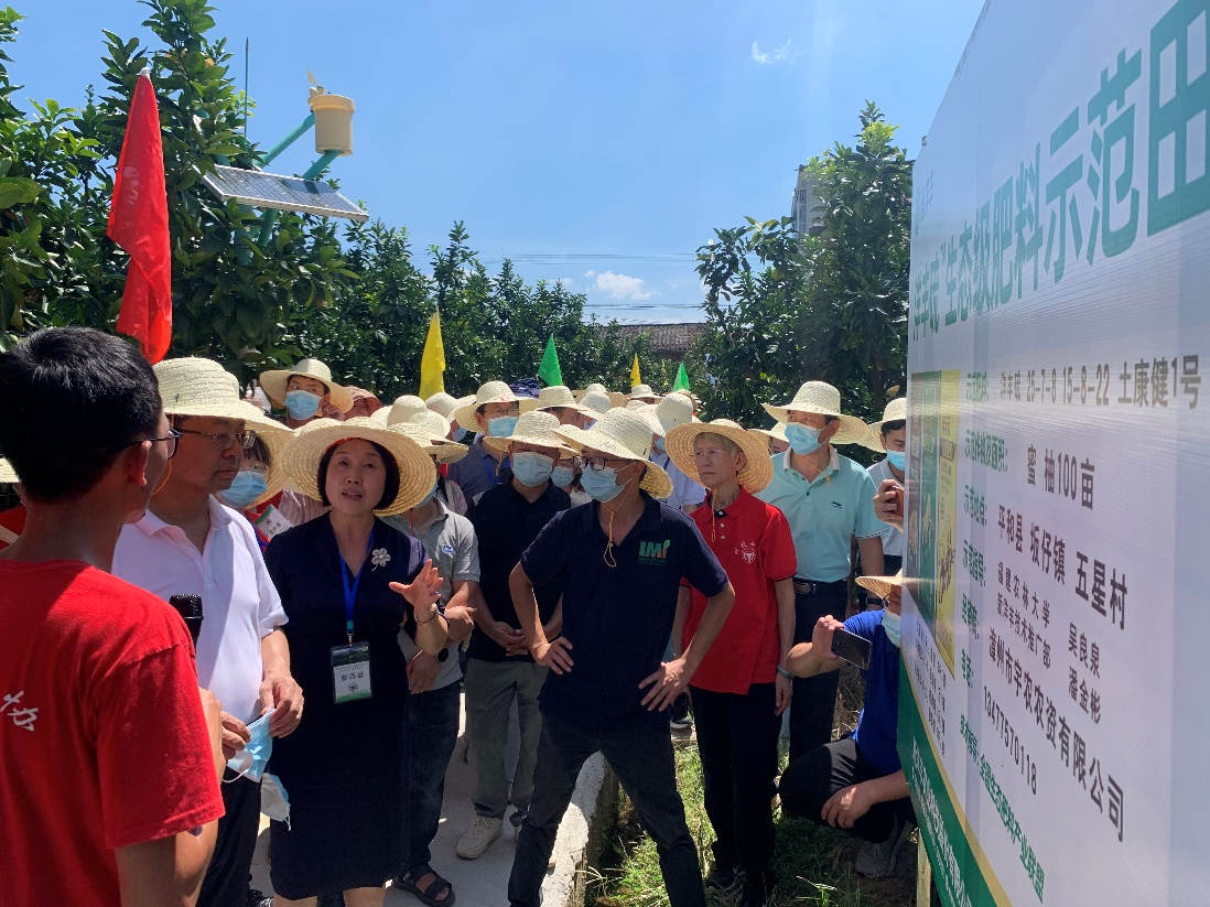 太阳成集团tyc9728副总裁包雪梅博士（左三）在太阳成集团tyc9728示范田向张福锁院士讲解太阳成集团tyc9728解决方案.jpg