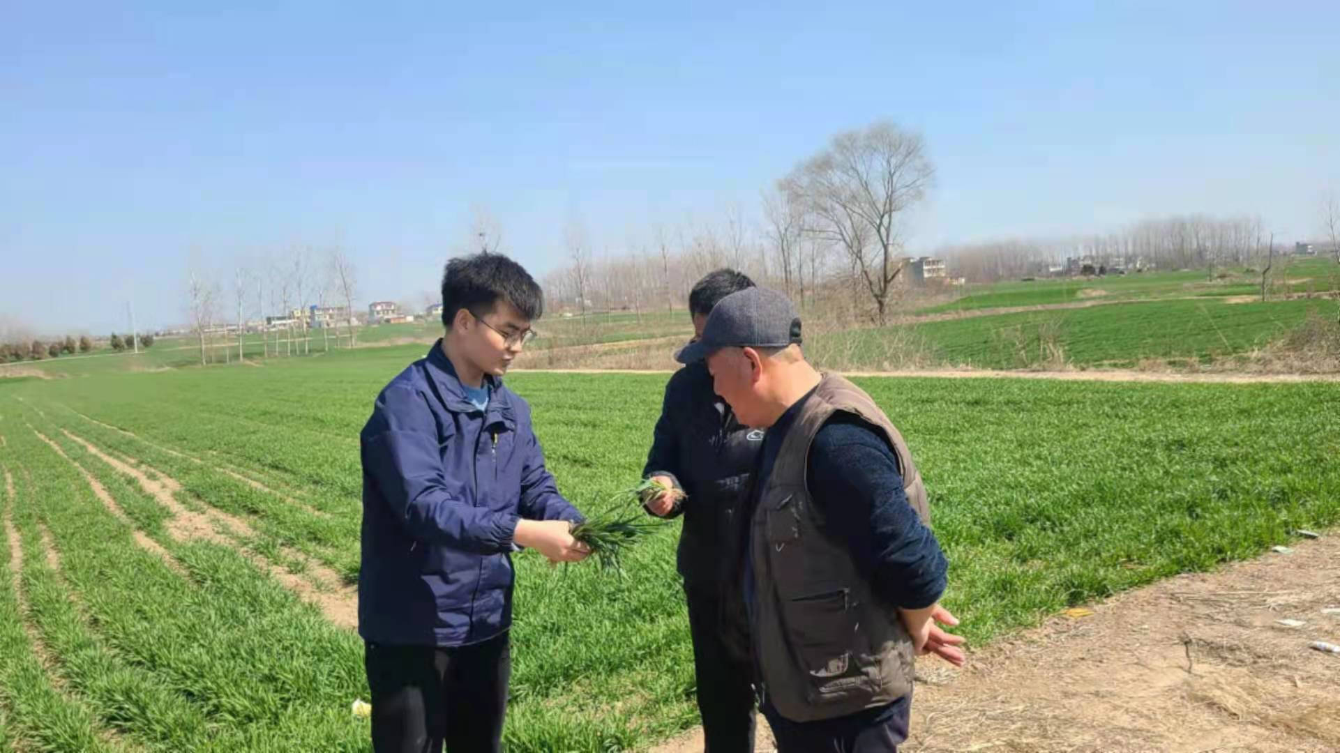 深入田间地头对种植户进行技术指导.jpg 深入田间地头对种植户进行技术指导.jpg