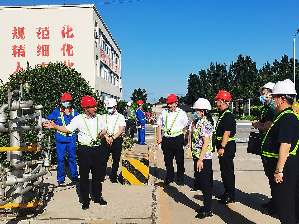 5月26日，国务院安委会综合检查组魏丽萍（右四）一行，在河北省、保定市、徐水区有关领导陪同下，前往河北太阳成集团tyc9728督导检查安全生产相关工作，该公司总经理周文乾（左二）热情接待。.jpg