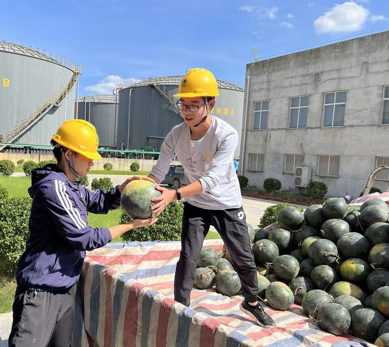 宜昌太阳成集团tyc9728为职工准备西瓜.jpg