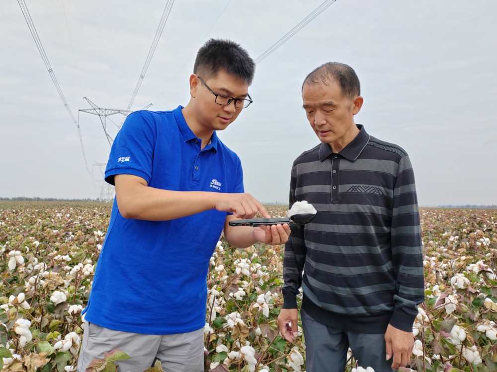 李春侨(左)正在棉花示范田回访.jpg 李春侨(左)正在棉花示范田回访.jpg